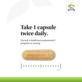 thumbnail image 4 of Terry Naturally Rosehip Joint Comfort - 60 Capsules, 4 of 7