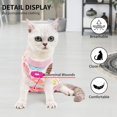 thumbnail image 3 of Traje de recuperación para gatos con heridas abdominales o enfermedades de la piel, para después de una cirugía, para evitar lamidos en las heridas, collar isabelino transpirable, 3 of 7
