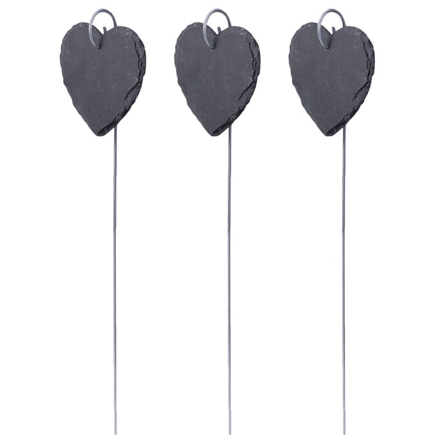 3 Pcs Jolies Étiquettes pour Plantes Ardoise Panneaux d'Identification de Fleurs Étiquettes pour Succulentes