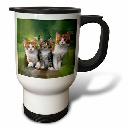

Three little kittens 14oz Stainless Steel Travel Mug tm-5773-1