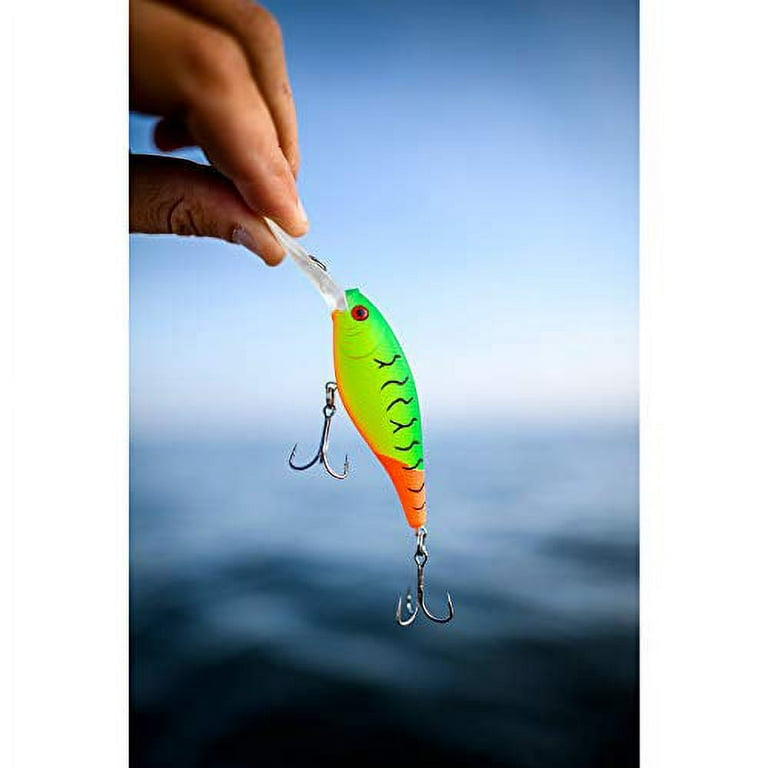 Berkley Flicker Shad Shallow Fishing Lure, HD Fathead Minnow, 1/6 oz, 2in |  5cm Crankbaits, Size, Profile and Dive Depth Imitates Real Shad, Equipped