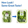 thumbnail image 2 of Marketside Organic Baby Spinach Salad, 5 oz Clam Shell (Fresh), 2 of 7