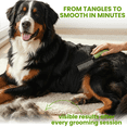 thumbnail image 2 of Poodle Grooming Comb - Metal Dematting Comb with Long & Short Stainless Steel Teeth for Removing Matted Hair & Knots, Safe and Gentle for Dogs & Cats (Green), 2 of 5