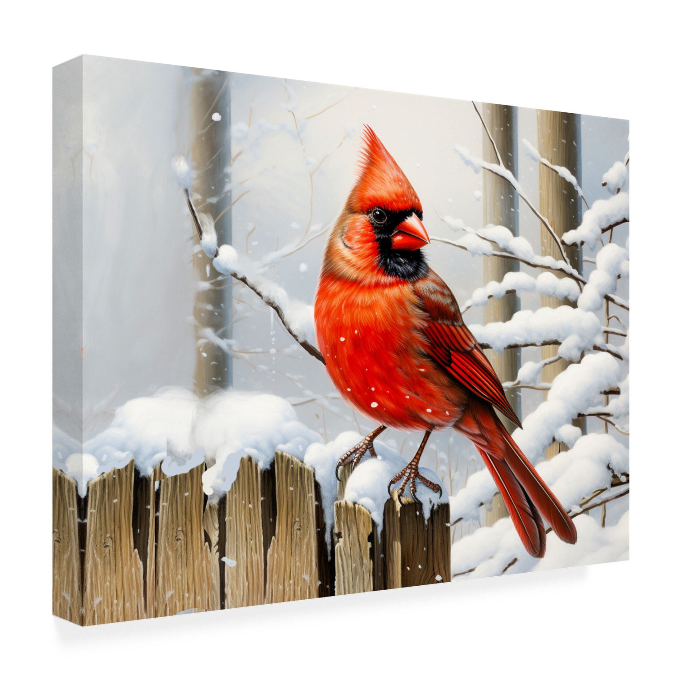 Canvas Wall Art - Stewart 'Snow Day Cardinal' Wall Art for Living Room, Bedroom, or Office Décor by Trademark Fine Art - 24 x 18 Inches