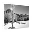 thumbnail image 2 of Tangletown Art, 24 x 16 "Broken Silence " by Dennis Frates, Gallery Wrap Canvas, 2 of 2