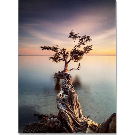 Moises Levy 'Water Tree III' Canvas Art