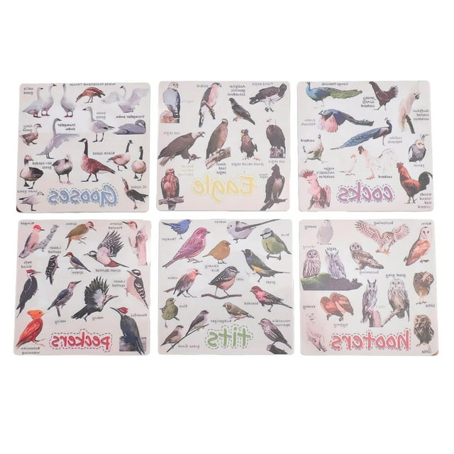 Juego de 6 posavasos de acrílico compactos rectangulares con diseño de pájaros, elegantes, exquisitos y decorativos con múltiples patrones