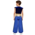 thumbnail image 7 of renvena Boys Prince Outfits Medieval Partywear Open Front Vest Waistcoat with Harem Pants Royal Blue 12, 7 of 7