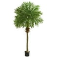 thumbnail image 1 of Nearly Natural 5542 80 Po Robellini Palmier Arbre Artificiel, 1 of 1