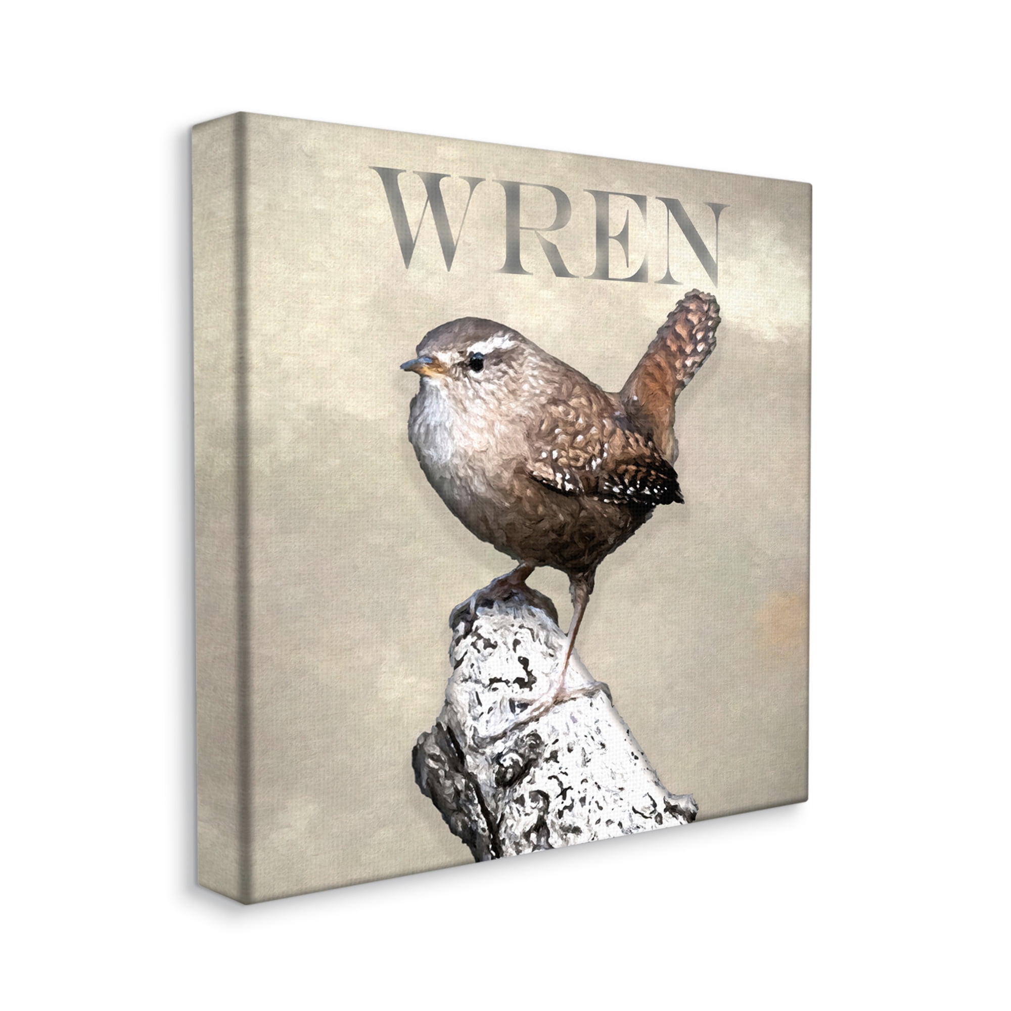 Stupell Industries Wren Bird Standing Casual Nature Breed Typography Graphic Art Gallery Wrapped Canvas Print Wall Art, Design by Alpenglow Workshop