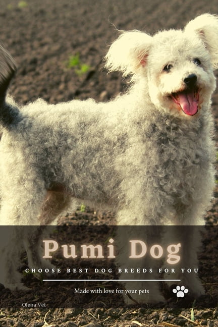Pumi Dog: Choose Best Dog Breeds For You (Paperback) - Walmart.com