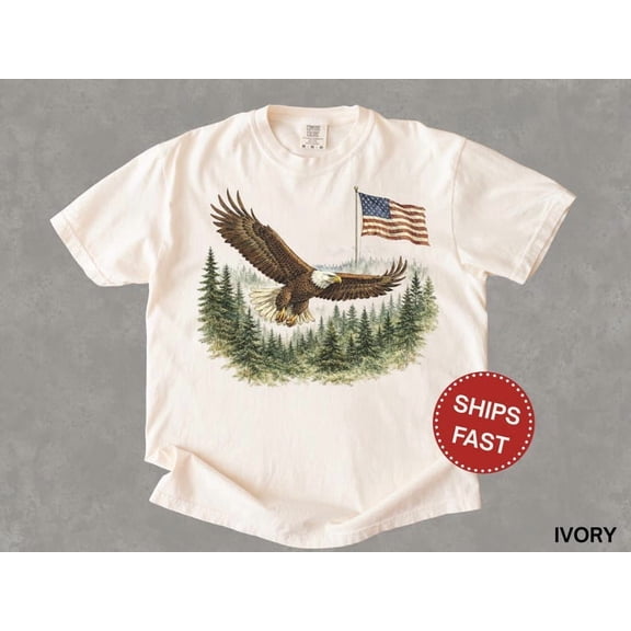 USA Bald Eagle Shirt, Vintage Style Patriotic Tee, July 4th Shirt, American Flag Eagle T Shirt, USA Shirt Men Women