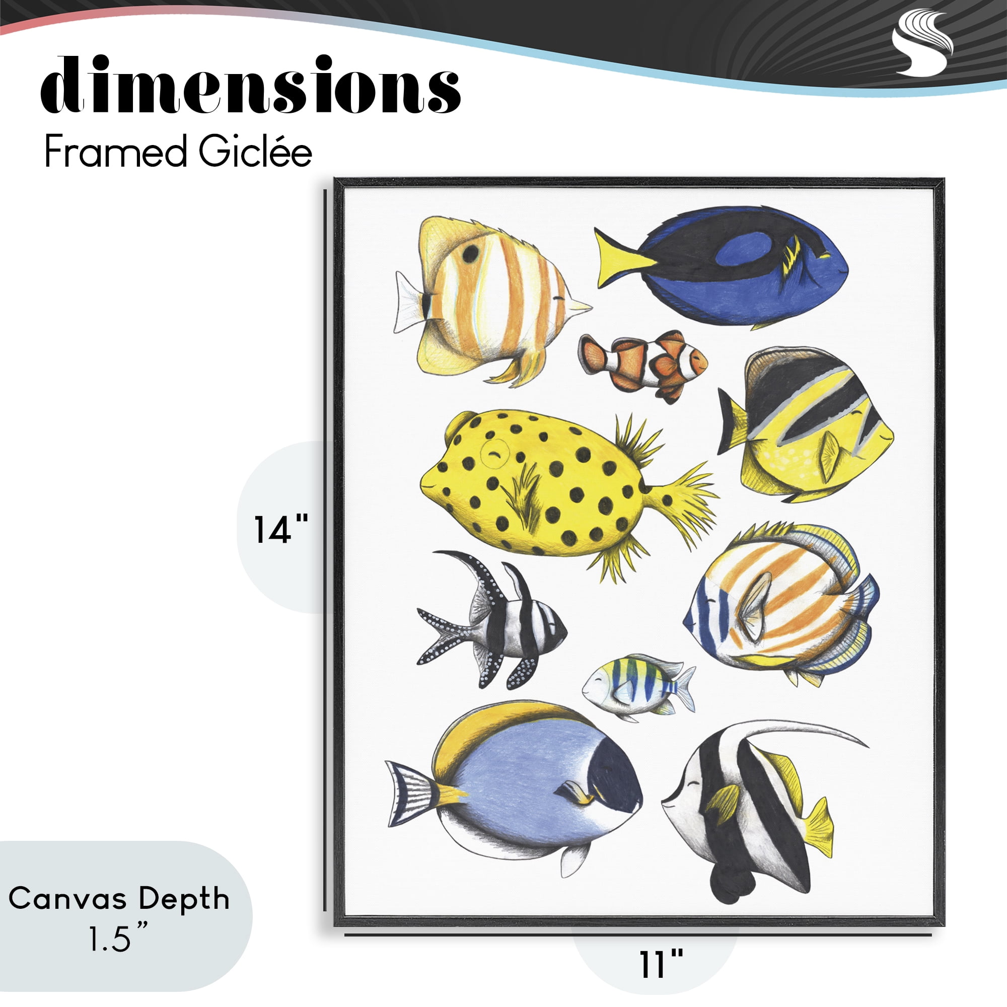 Stupell Industries Aquatic Fishes Collection Black Framed Giclee Art, design by Cecilia Battaini
