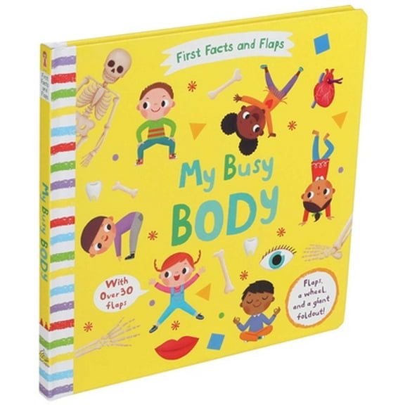 Pre-Owned First Facts and Flaps: My Busy Body (Board book) 1684129761 9781684129768