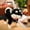 Black, variant on Realistic Dog Plush Toys,Akita Dog Stuffed Toys,Soft Cuddle Companion Toys,Anxiety Relief Soothing Toys,Emotional Support Relax Toys,Pet Lover Collection Toys,Home Decor Accent Toys