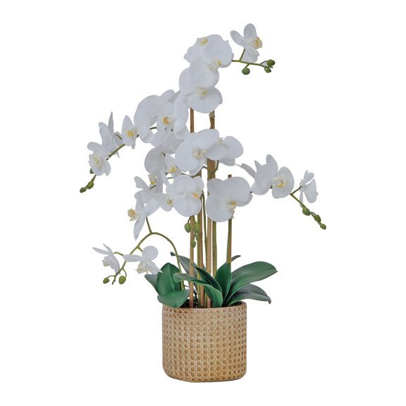 29" White Orchid Arrangement in a Tan Ceramic Planter | Real Touch White Moth Phalaenopsis Orchids by Fiori Sempre