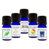 GreenHealth - Synergy Trial Set- 5 ml (1/6 fl oz) Blue w/ Euro Dropper- Germ Ninja, C'est La Vie, Pain & Strain, Headache Magic, & Citrus Splash- 100% Pure Essential Oil Blends- Set of 5, Aromatherapy