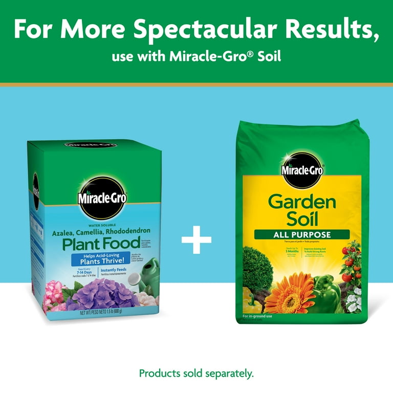 Miracle-Gro Water Soluble Azalea, Camellia, Rhododendron Plant