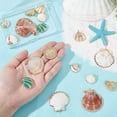thumbnail image 3 of 16 colgantes de conchas naturales en 8 estilos diferentes. Colgantes de vieira teñidos con conchas marinas. Colgantes de animales marinos para hacer joyas. Ideales para cumpleaños., 3 of 6