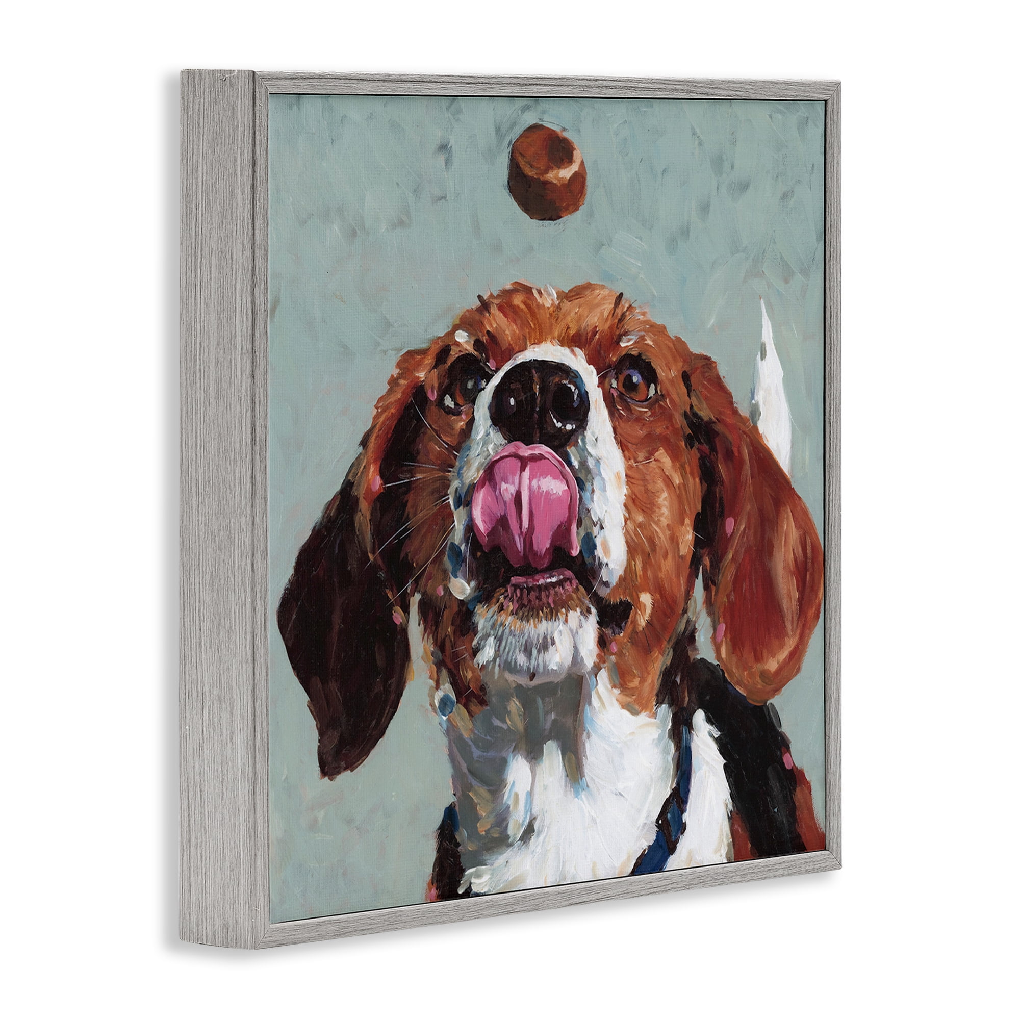 Stupell Industries Beagle Treat Excitement Gray Framed Giclee Art, design by Studio Bautista