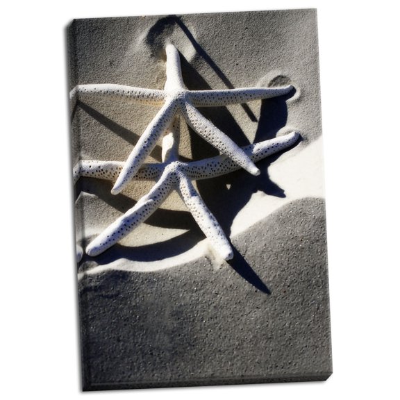 Gango Home Decor Sea Stars I by Alan Hausenflock (Ready to Hang); One 24x36in Hand-Stretched Canvas