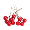 Amuver Artificial Bubble Berry with Iron Wire Stem, Holly Fake Decoration