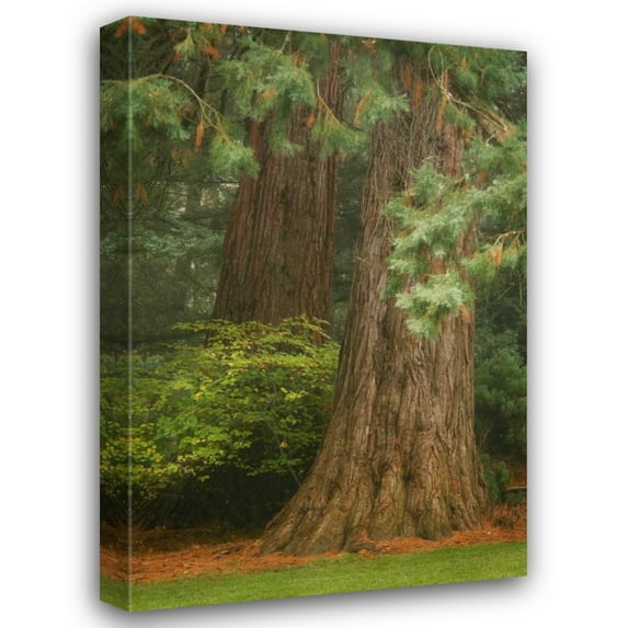 Vitaly Geyman 28x40 Gallery Wrapped Canvas Wall Art Titled - Ancient Forest I