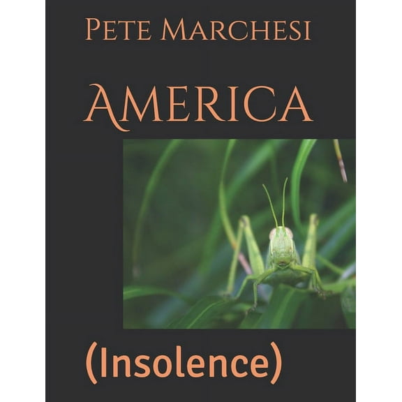 America : (Insolence) (Paperback)