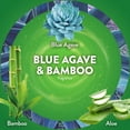 thumbnail image 4 of Recambio de aceite perfumado Air Wick Plug In de agave azul y bambú, 4 unidades, 4 of 9
