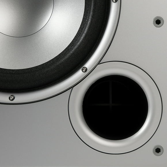 Subwoofer Amplificado De 10" y 100w Polk Audio Polk Audio Subwoofer activo 10" 100w Polk Audio