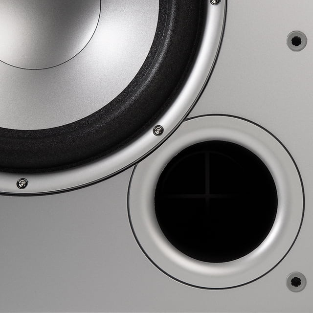 Subwoofer Amplificado De 10" y 100w Polk Audio Polk Audio Subwoofer activo 10" 100w Polk Audio