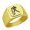 Gold, variant on Aquarius Stainless Steel Signet Ring