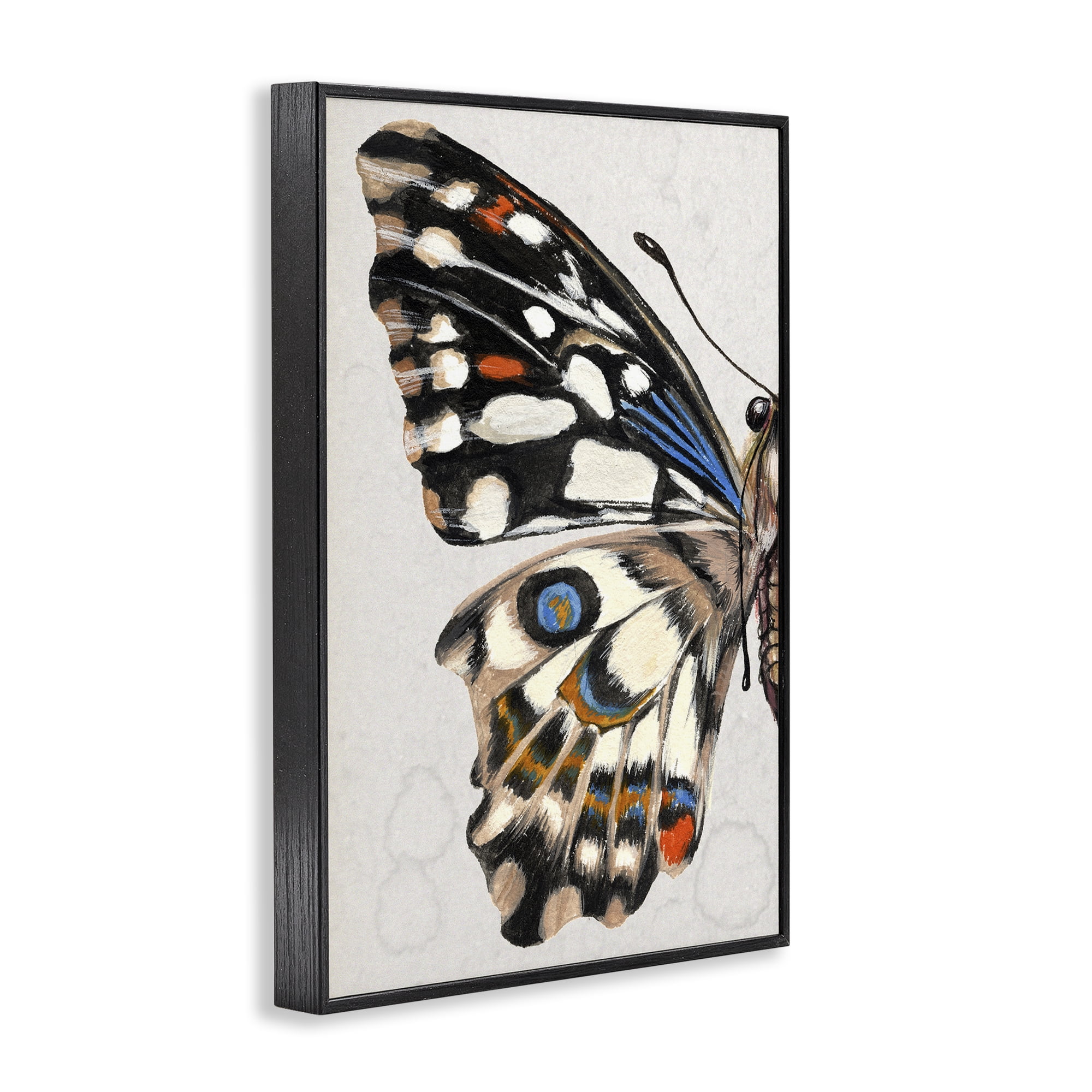 Stupell Industries Spotted Butterfly Wing Animals & Insects Painting Black Framed Art Print Wall Art, 16 x 24