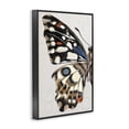 thumbnail image 3 of Stupell Industries French Country Spotted Butterfly Wing Black Framed Giclee Art, 16 x 24, by Melissa Wang, 3 of 8