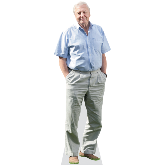 David Attenborough Lifesize Cardboard Cutout Standee