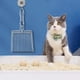 thumbnail image 3 of Pala para arena para gatos, pala profunda para tamizar rápidamente, pala para arena para gatos de acero inoxidable, fácil de limpiar para mascotas, gatos y perros, 3 of 5
