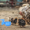 thumbnail image 1 of LOLIPPYY 6Ud De Para Poultry En Para Granja Con De Espacio, 1 of 8