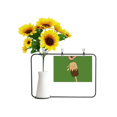 thumbnail image 1 of Bird Sle Face Chocolate Sweet Ice Artificial Sunflower Vases Bottle Blessing Card, 1 of 3