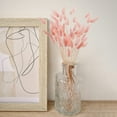 thumbnail image 4 of 17’’ Natural Bunny Tails Dried Flowers, 50 Pcs Dried Lagurus Ovatus, Dried Pink Pampas Grass Decor for Farmhouse Flower Arrangements Wedding Home Boho Party Decorations, 4 of 4