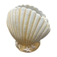 thumbnail image 2 of Dongrere Coastal Seashell Ceramic Floraler, White Nautical Floral Pot for Flower Indoor Windowsill & Beach Style Home Decor, 2 of 9