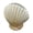 A, variant on HOARBOEG Ceramic White Conch Shell Planter, Seashell Vase for or Pampas Grass, Coastal Ocean Decor for Bathroom Counter Shelf Windowsill, Cute Desk Storage Organizer for Jewelry Keys