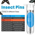 WSTEER 300 Pcs Stainless Steel Insect Pins Specimen Pinning Collection