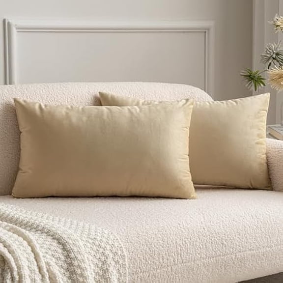 Eryueer Velvet Cushion Covers Soft Decorative Square Throw Pillow Case Pillowcases for Livingroom Sofa Bedroom with Invisible Zipper 12"x20" 30cm x 50cm 2 Pieces Beige