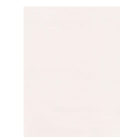 UPC: 0804551945885 | Prepared Frisket Film 18 in. x 24 in. sheet (pack of 5)