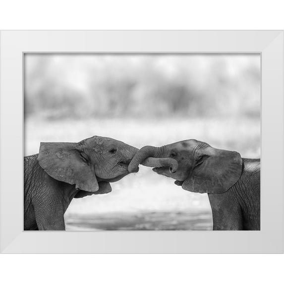 Marx, Jaco 24x19 White Modern Wood Framed Museum Art Print Titled - Greetings