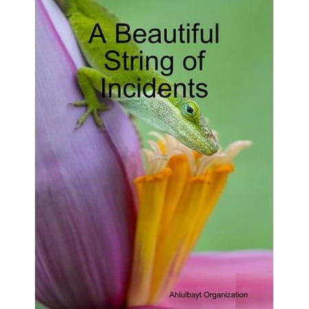 A Beautiful String of Incidents - eBook