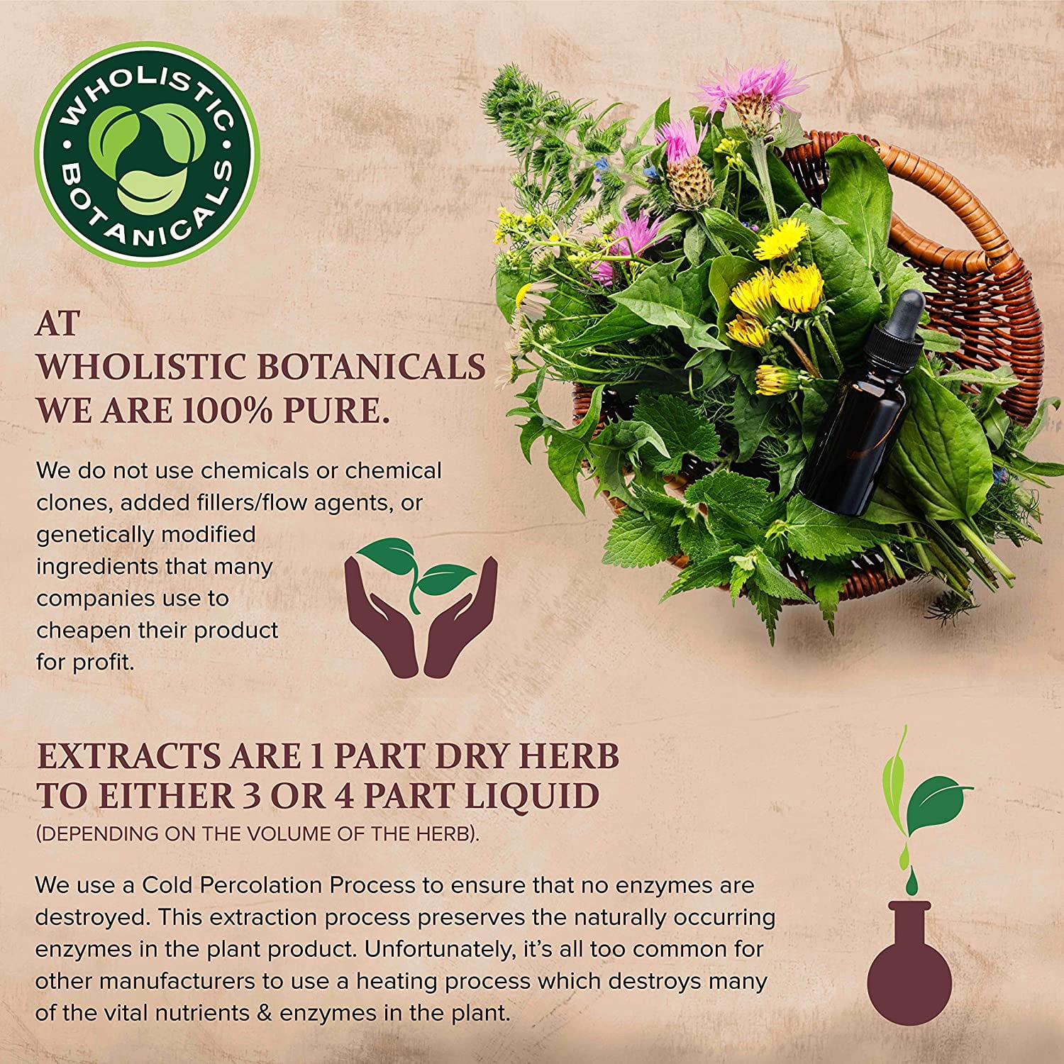 Wholistic Botanicals Probiotic Capsule 60 ct.