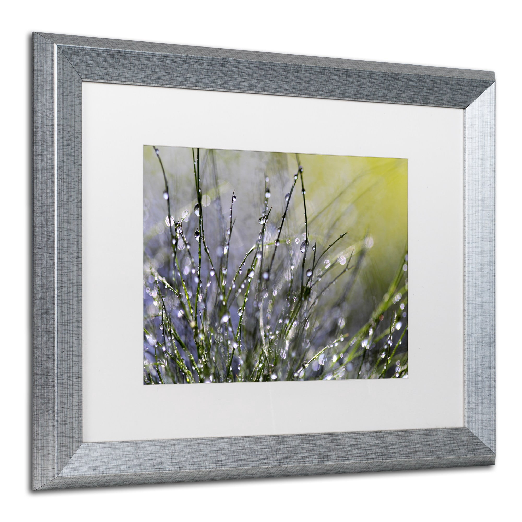 Trademark Fine Art "Spring Morning" Canvas Art by Beata Czyzowska Young, White Matte, Silver Frame