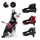 thumbnail image 1 of Correa De Pecho Nylon Para Perros, Entrenamiento Ajustable, 1 of 8