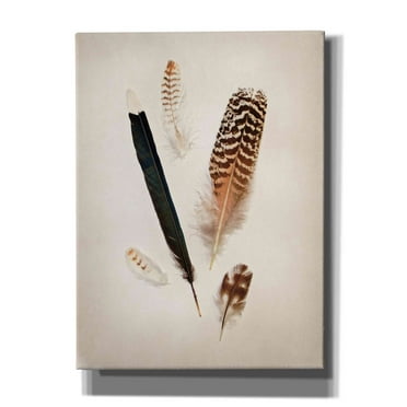 Epic Graffiti 'Feather Group II' by Debra Van Swearingen, Canvas Wall Art, 40"x54"